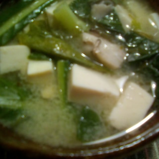 豆腐と小松菜となめたけの味噌汁